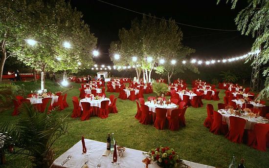 DETALLE DE BANQUETE EN JARDIN