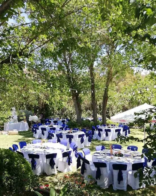 DETALLE DE BANQUETE EN JARDIN