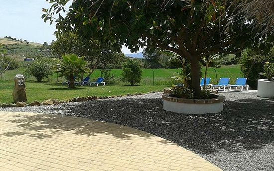 DETALLE DEL JARDIN DELANTERO