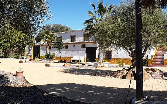 JARDIN DELANTERO: FACHADA