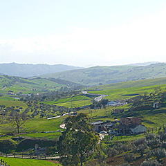 Arroyo de las cañas en Álora